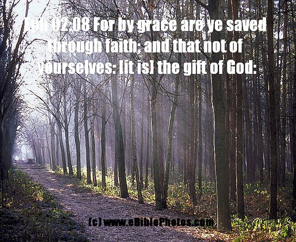 Click for Next Image