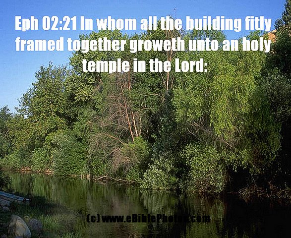 Click for Next Image