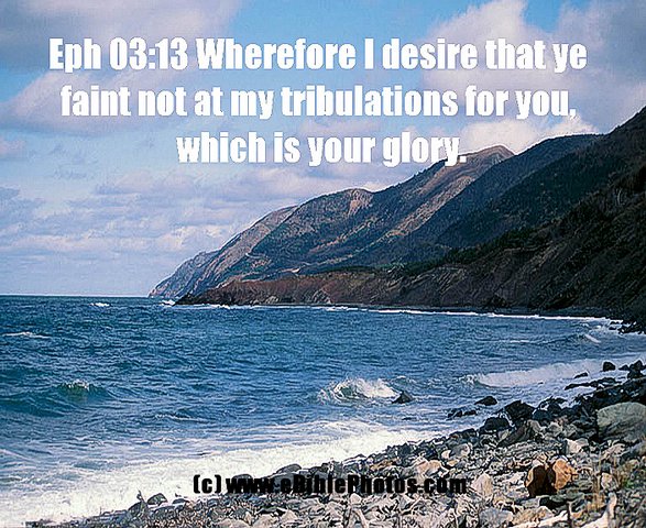 Click for Next Image