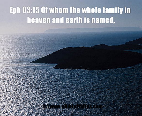 Click for Next Image