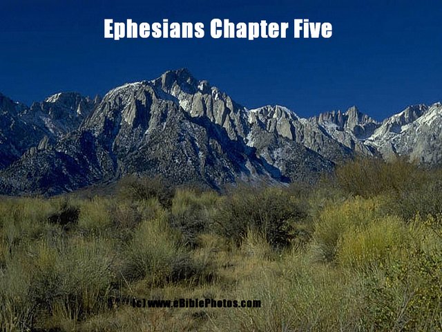 Click for Next Image